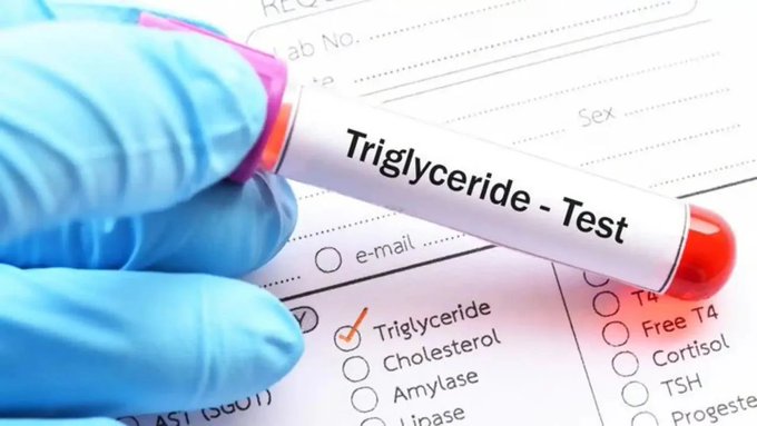 Health report on children's triglyceride levels in India